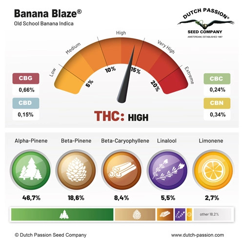 Banana Blaze Terpenes & Cannabinoids Dutch Passion