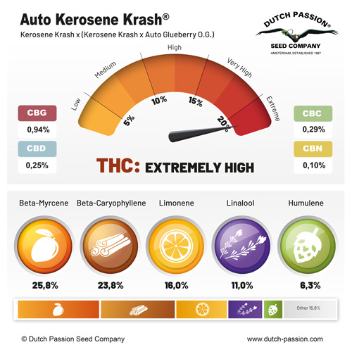 Auto Kerosene Krash® Dutch Passion terpene profil