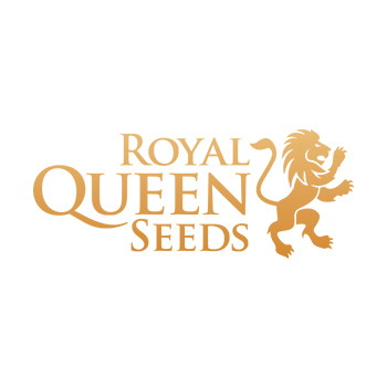 royal queen seeds brand